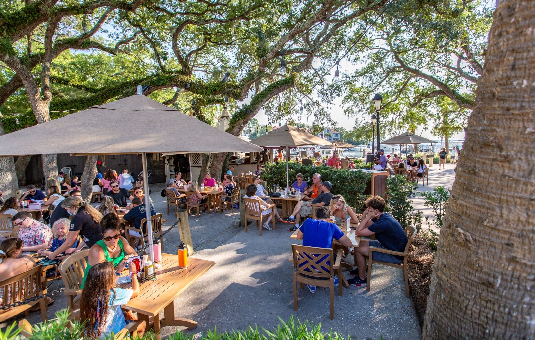Guests dining outdoors beneath live oaks at Harbourside in Harbour Town
